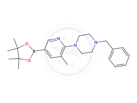 Chemical structure of 1-benzyl-4-(3-Methyl-5-(4,4,5,5-tetraMethyl-1,3,2-dioxaborolan-2-yl)pyridin-2-yl)piperazine