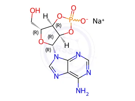 Chemical structure of Adenosine-2’,3’-cyclic Monophosphate Sodium Salt