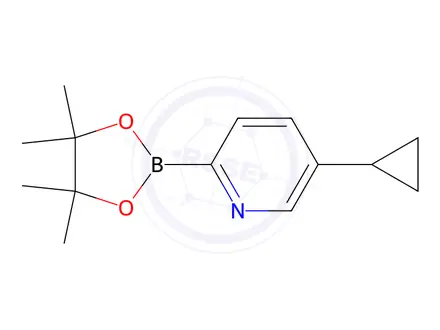 Chemical structure of 5-Cyclopropyl-2-(4,4,5,5-tetramethyl-1,3,2-dioxaborolan-2-yl)pyridine