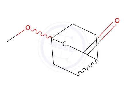 Chemical structure of 4-METHOXYBICYCLO[2.2.2!OCTAN-2-ONE, TECH