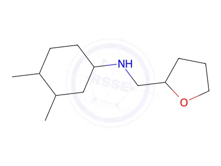 Chemical structure of 3,4-Dimethyl-N-((tetrahydrofuran-2-yl)methyl)cyclohexan-1-amine