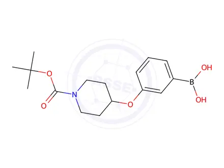 Chemical structure of 3-(N-Boc-Piperidin-4-yloxy)phenylboronic acid