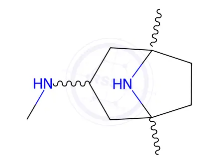 Chemical structure of N,1,5-trimethyl-8-azabicyclo[3.2.1]Octan-3-amine