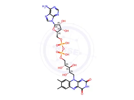 Chemical structure of Flavin Adenine Dinucleotide