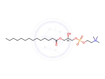 Chemical structure of 1-myristoyl-2-hydroxy-sn-glycerin-3-Choline phosphate