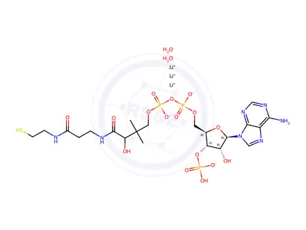 Chemical structure of COENZYME A TRILITHIUM SALT DIHYDRATE