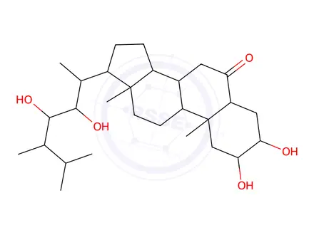 Chemical structure of A,22R,23R)-2,3,22,23-Tetrahydroxyergostan-6-one