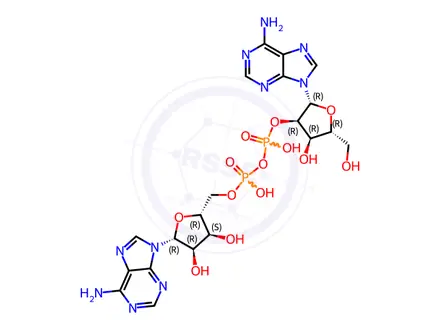 Chemical structure of adenosine monophosphate-adenosine
