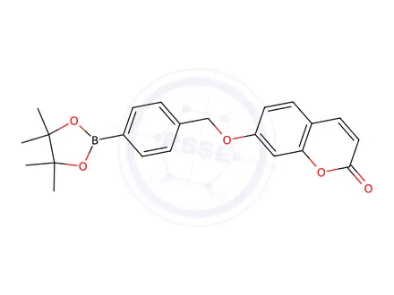 Chemical structure of 7-{[(4,4,5,5-Tetramethyl-1,3,2-dioxaborolan-2-yl)benzyl]oxy}-2H-1-benzopyran-2-one CBBE