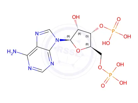 Chemical structure of Adenosine 3,5-bisphosphate triethylammonium salt-10mM aqueous solution