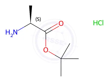 Chemical structure of L-Alanine tert-Butyl Ester Hydrochloride