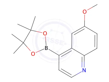 Chemical structure of 6-Methoxy-4-(4,4,5,5-tetramethyl-1,3,2-dioxaborolan-2-yl)quinoline
