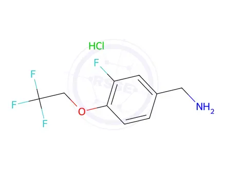 Chemical structure of 3-Fluoro-4-(2,2,2-trifluoro-ethoxy)-benzylamine hydrochloride