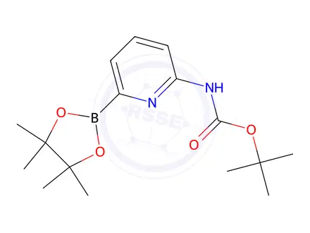 Chemical structure of tert-Butyl (6-(4,4,5,5-tetramethyl-1,3,2-dioxaborolan-2-yl)pyridin-2-yl)carbamate