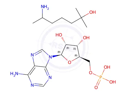 Chemical structure of adenosine 5'-monophosphate, compound with 6-amino-2-methylheptan-2-ol (1:1)