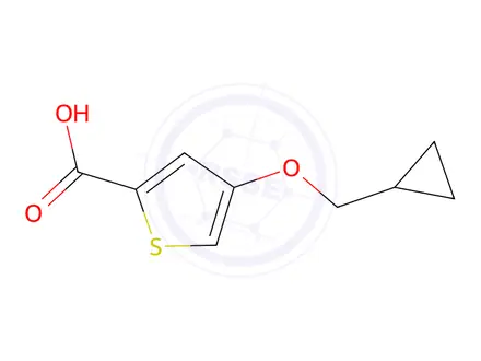 Chemical structure of 4-(Cyclopropylmethoxy)thiophene-2-carboxylic acid
