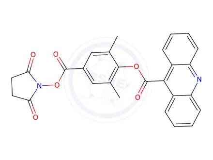 Chemical structure of 2’,6’-Dimethylcarbonylphenyl 9-Acridinecarboxylate 4’-NHS Ester