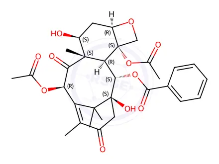 Chemical structure of 13-Oxobaccatin III