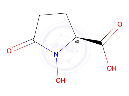 Chemical structure of (S)-1-Hydroxy-5-oxopyrrolidine-2-carboxylic acid