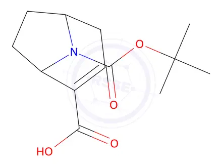 Chemical structure of 8-Azabicyclo[3.2.1]oct-2-ene-2,8-dicarboxylic acid, 8-(1,1-dimethylethyl) ester