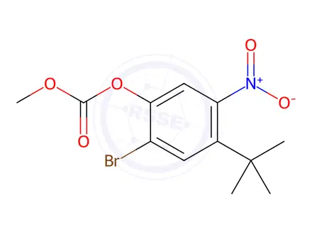 Chemical structure of 2-Bromo-4-(1,1-dimethylethyl)-5-nitrophenyl Methyl Ester Carbonic Acid