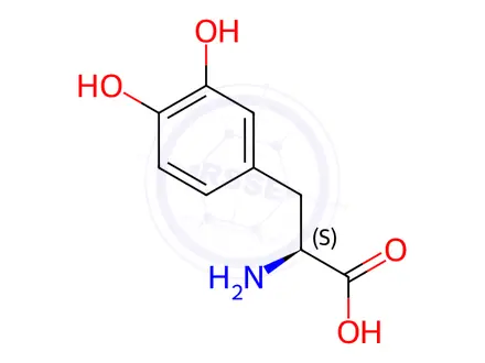 Chemical structure of Levodopa