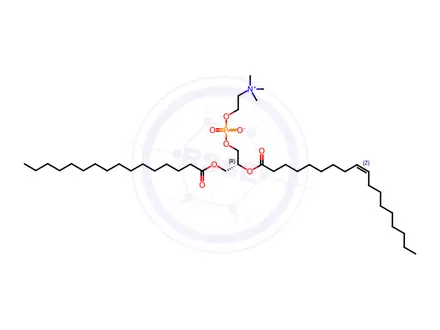 Chemical structure of Brain PC