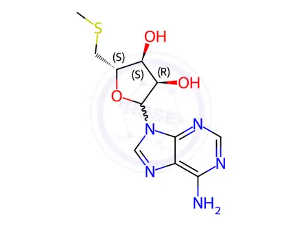 Chemical structure of S-Adenosyl-L-Methionine Impurity 27