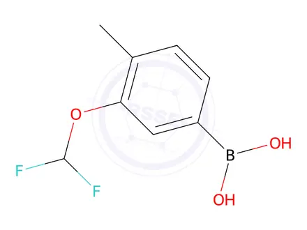 Chemical structure of 3-(Difluoromethoxy)-4-methylphenylboronic acid