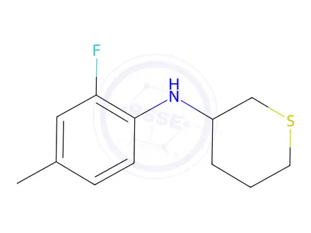Chemical structure of n-(2-Fluoro-4-methylphenyl)tetrahydro-2h-thiopyran-3-amine
