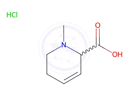 Chemical structure of 1-Methyl-1,2,5,6-tetrahydropyridine-2-carboxylic acid Hydrochloride