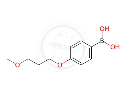 Chemical structure of 4-(3-methoxypropoxy)phenylboronic acid