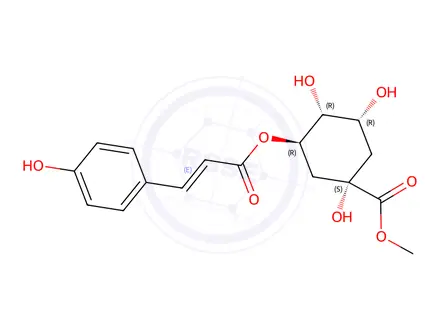 Chemical structure of (1S,3R,4R,5R)-Cyclohexanecarboxylic acid, 1,3,4-trihydroxy-5-[[(2E)-3-(4-hydroxyphenyl)-1-oxo-2-propen-1-yl]oxy]-, methyl ester