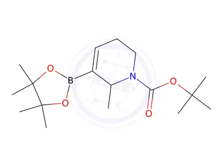 Chemical structure of tert-Butyl 2-methyl-3-(4,4,5,5-tetramethyl-1,3,2-dioxaborolan-2-yl)-5,6-dihydropyridine-1(2H)-carboxylate