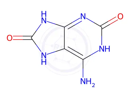 Chemical structure of 2,8-Dihydroxyadenine