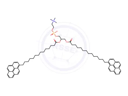 Chemical structure of di-(1'-pyrenemyristoyl)phosphatidylcholine