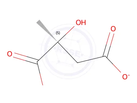 Chemical structure of DL-Citramalic Acid