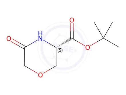 Chemical structure of (3S)-5-Oxo-3-morpholinecarboxylic Acid 1,1-Dimethylethyl Ester