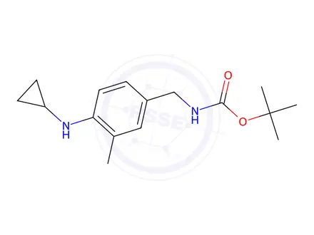Chemical structure of tert-butyl N-{[4-(cyclopropylamino)-3-methylphenyl]methyl}carbamate