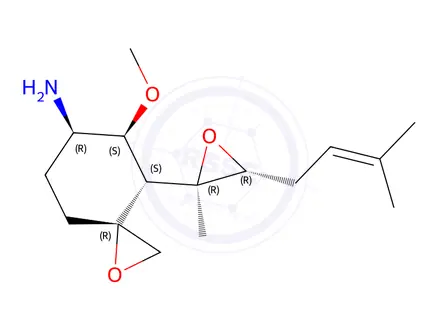 Chemical structure of 6-amino-6-deoxyfumagillol