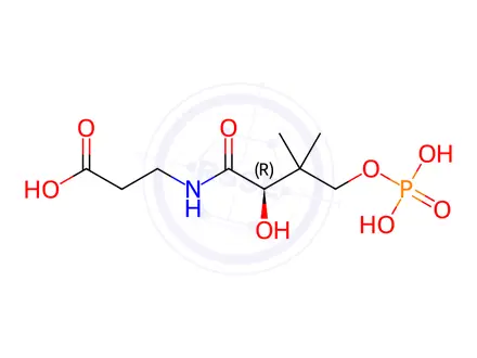 Chemical structure of Calcium Pantothenate Impurity 16