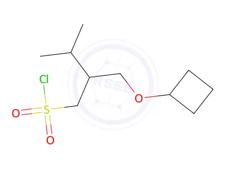 Chemical structure of 2-(Cyclobutoxymethyl)-3-methylbutane-1-sulfonyl chloride
