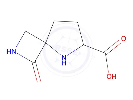 Chemical structure of 1-Oxo-2,5-diazaspiro[3.4]Octane-6-carboxylic acid