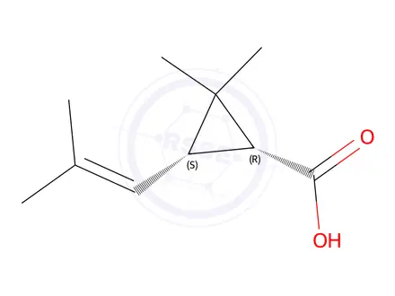 Chemical structure of cis-chrysanthemic acid