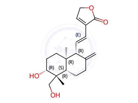 Chemical structure of 14-Deoxy-11,12-didehydroandrographolide
