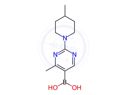 Chemical structure of (4-Methyl-2-(4-methylpiperidin-1-yl)pyrimidin-5-yl)boronic acid