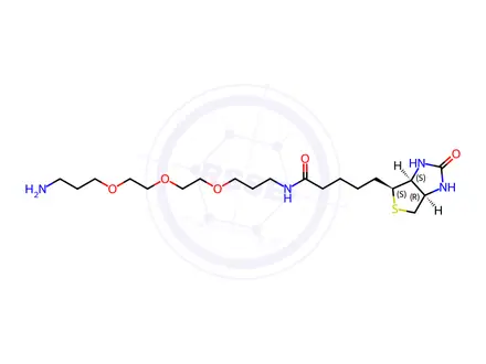 Chemical structure of Biotin-PEG3-C3-NH2