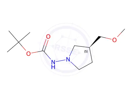Chemical structure of (S)-tert-butyl (3-(MethoxyMethyl)pyrrolidin-1-yl)carbaMate