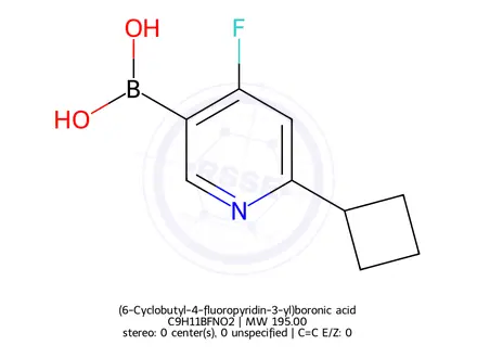 Chemical structure of (6-Cyclobutyl-4-fluoropyridin-3-yl)boronic acid