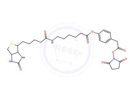 Chemical structure of 3-(4-(N-Biotinoyl-6-aminocaproyloxy)phenyl)propionic Acid, N-Hydroxysuccinimide Ester